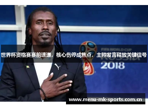 世界杯资格赛赛前速递，核心伤停成焦点，主帅发言释放关键信号